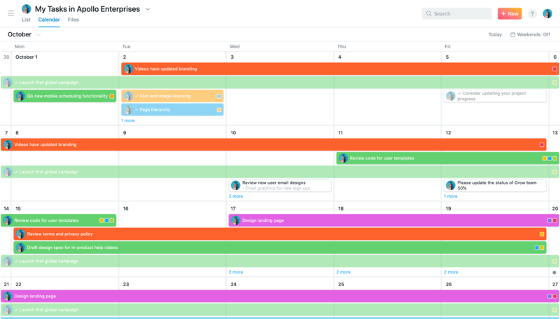asana screenshot